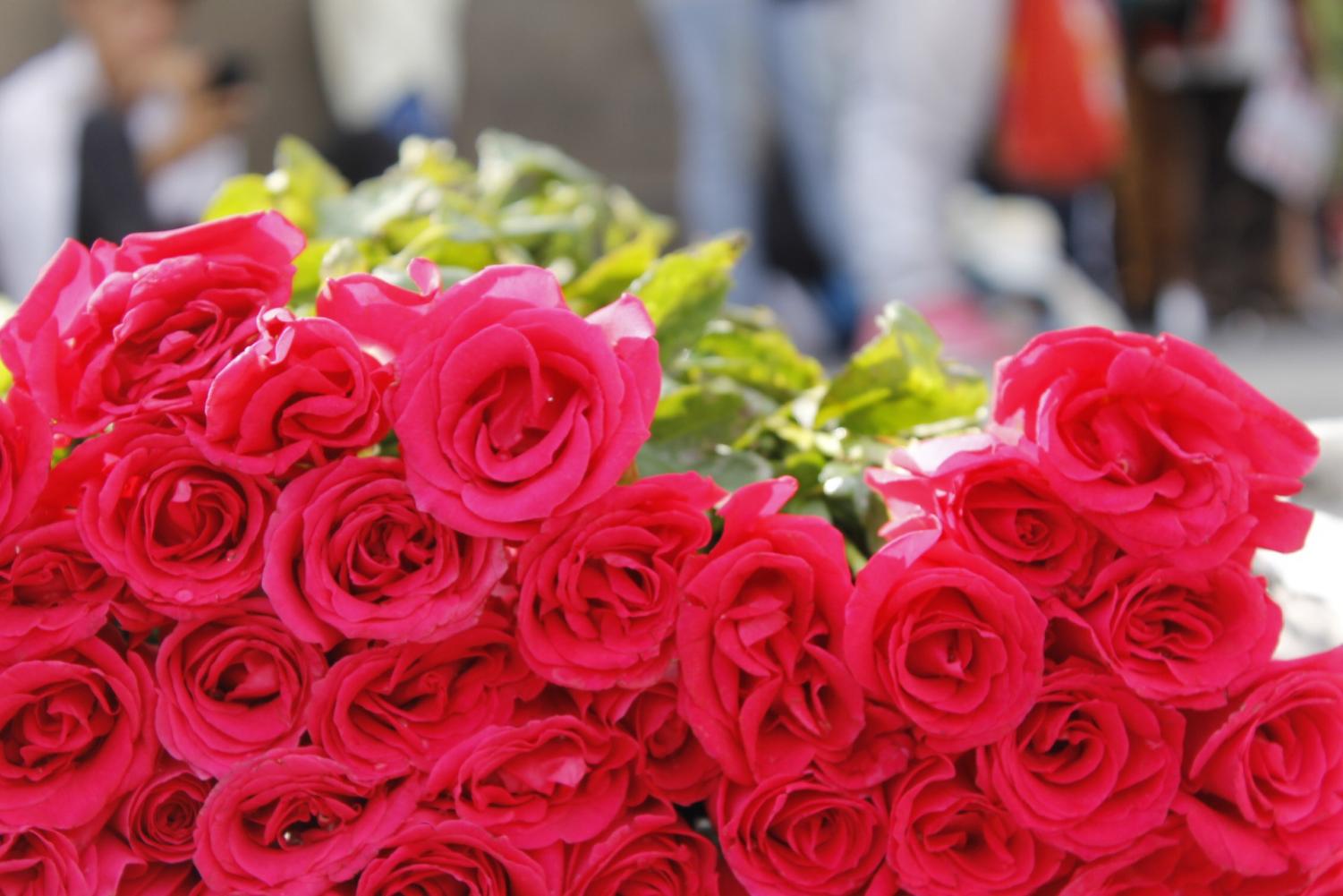 A bouquet of roses. One of the gifts from Dr. B’s “Lazy Strumpets” in 2014.