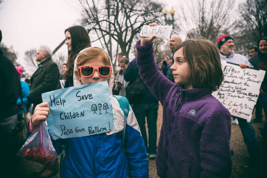 People of all ages protest and speak their minds about gun control and school safety.