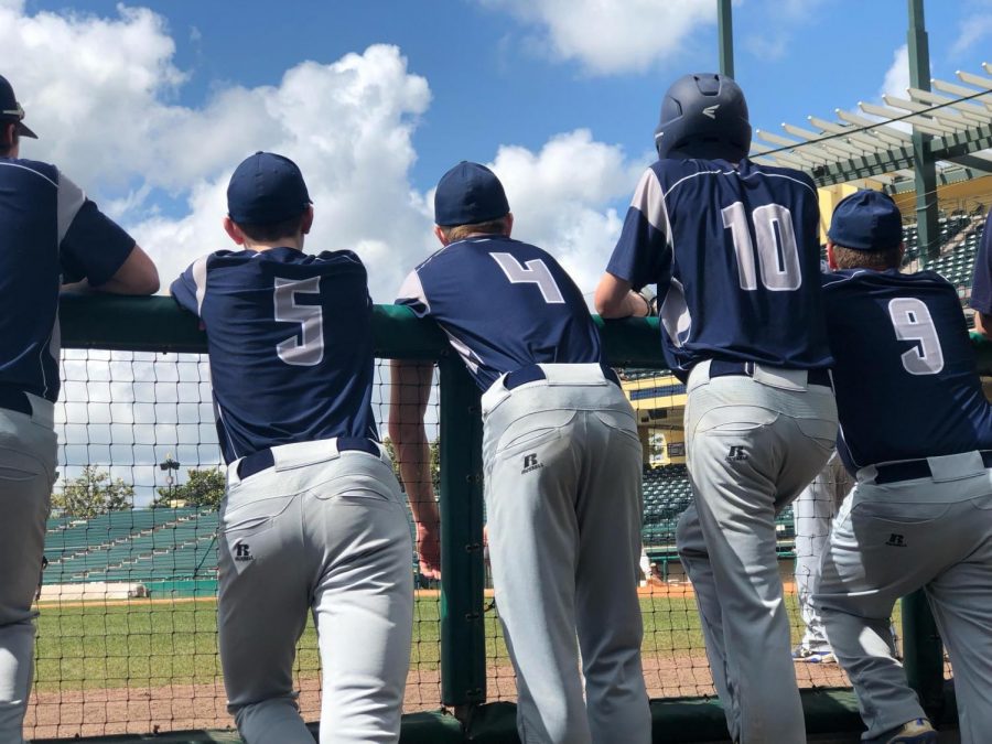 Baseball+players+watch+from+the+dugout+during+a+spring+training+game+at+ESPNs+WIde+World+of+Sports+Complex+in+Florida+in+spring+2019.+