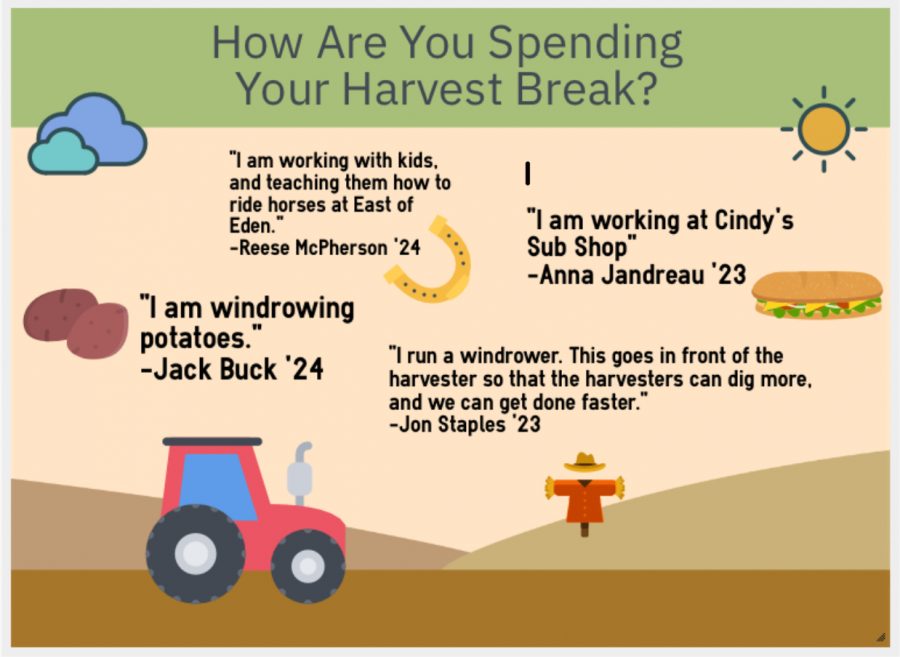 How Are You Spending Your Harvest Break?
