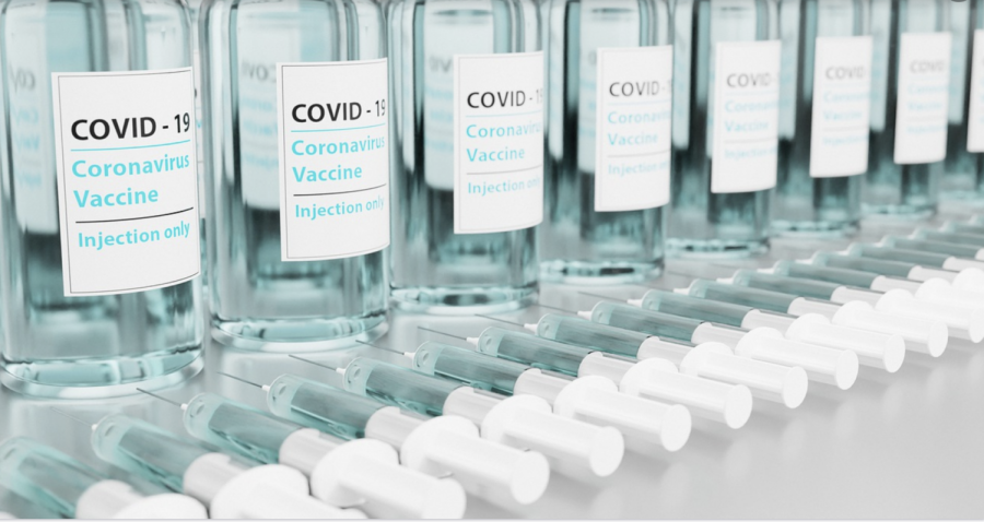 PIHS Insights to the COVID Vaccine
