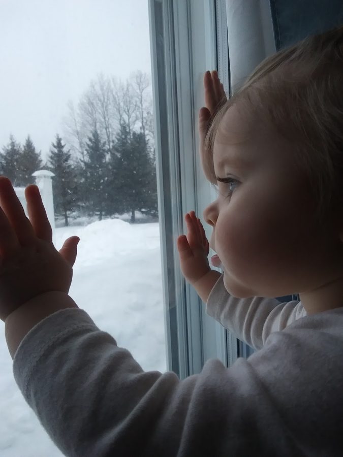 Admiring Snowflakes 