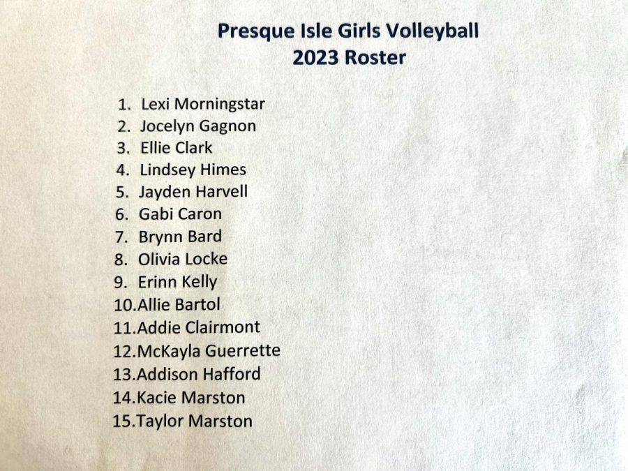 The roster for the 2023 girls volleyball team.