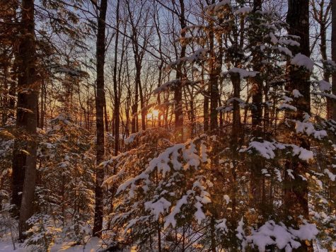 “Sunset Snow”, Julia Bartley ‘24
“ A photo taken while on a ski at the Nordic Heritage Center of the sunset through the trees.”