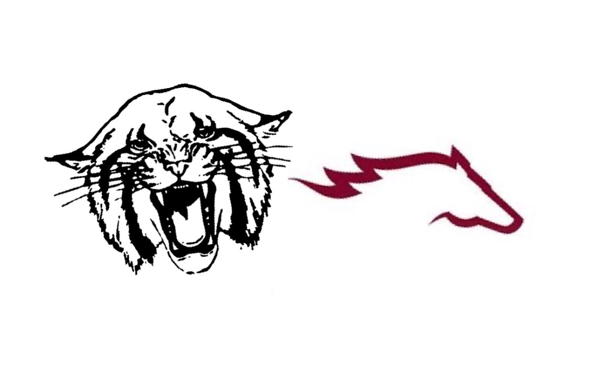 The Wildcats and the Foxcroft ponies soccer match 