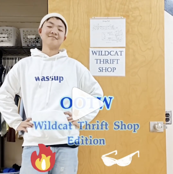 Xavier Peng 24 gives a preview of just a few available items in the Wildcat Thrift Shop.