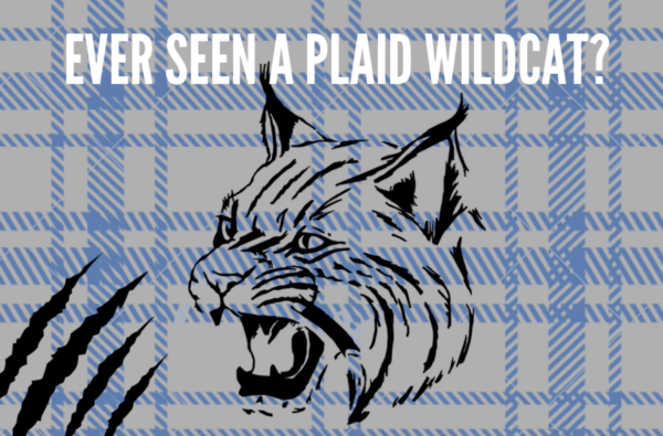 Navigation to Story: Ever seen a plaid Wildcat?